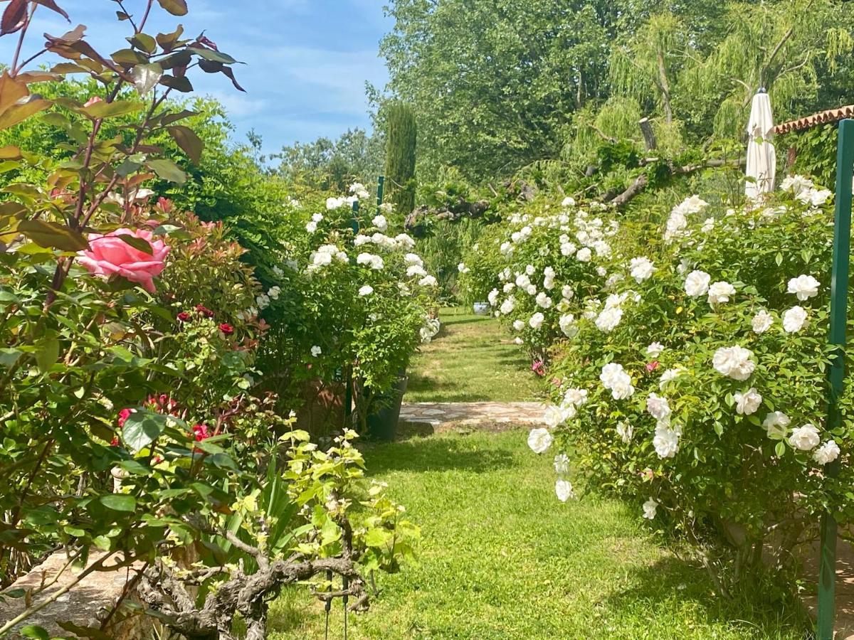 Bed and breakfast Des Roses Roussillon en Isere